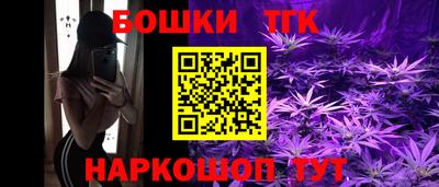 СК Шелехов