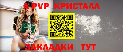 СК Шелехов