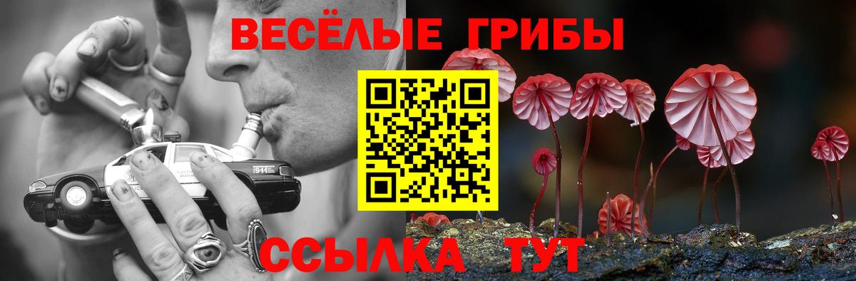 Красноярск  Псилоцибиновые грибы Psilocybine cubensis  где купить   Вход с VPN 